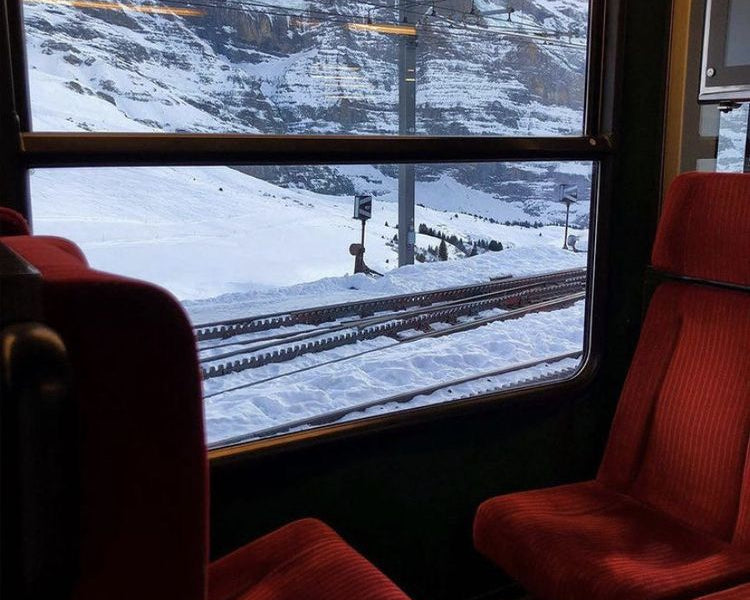 Regulating Cortisol  For the Holiday Season and Beyond