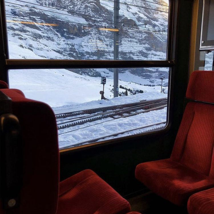 Regulating Cortisol  For the Holiday Season and Beyond