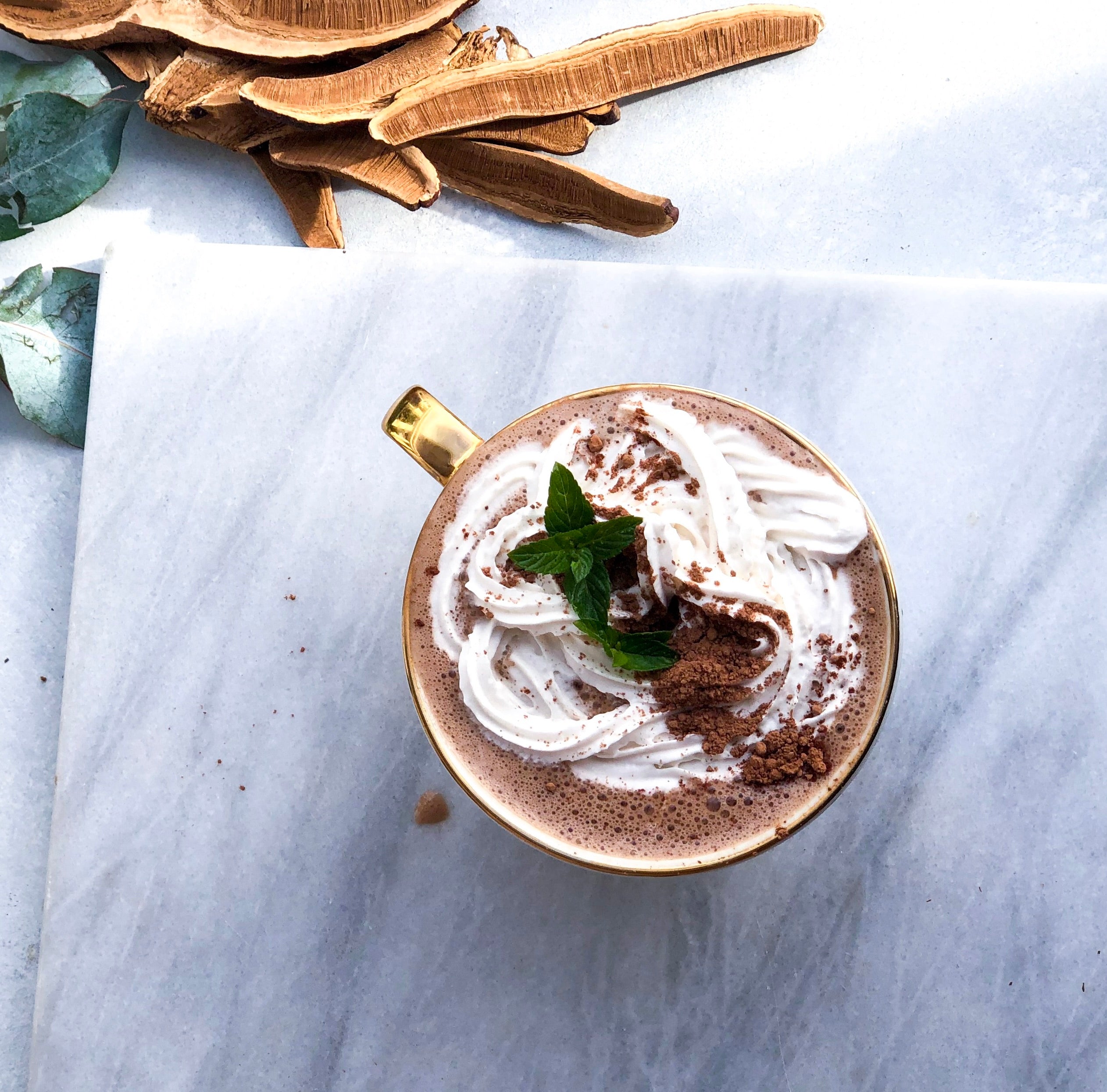Peppermint Hot Chocolate with Reishi Spore