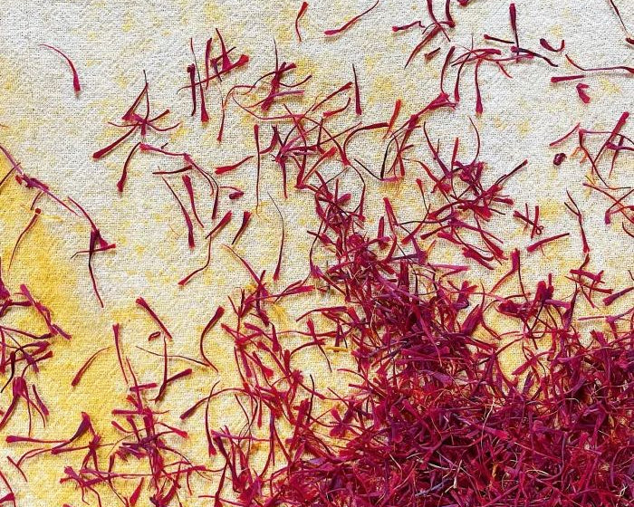 TCM Herbal Highlight: Saffron
