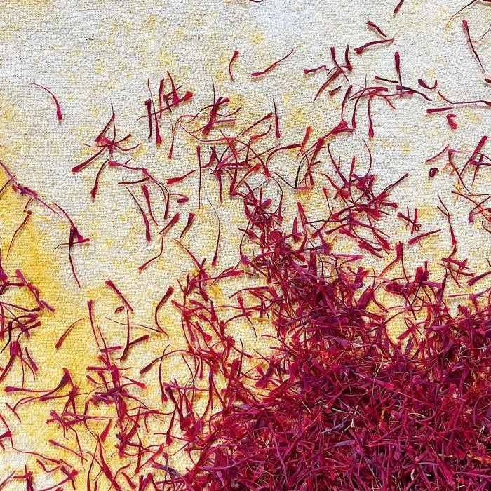 TCM Herbal Highlight: Saffron