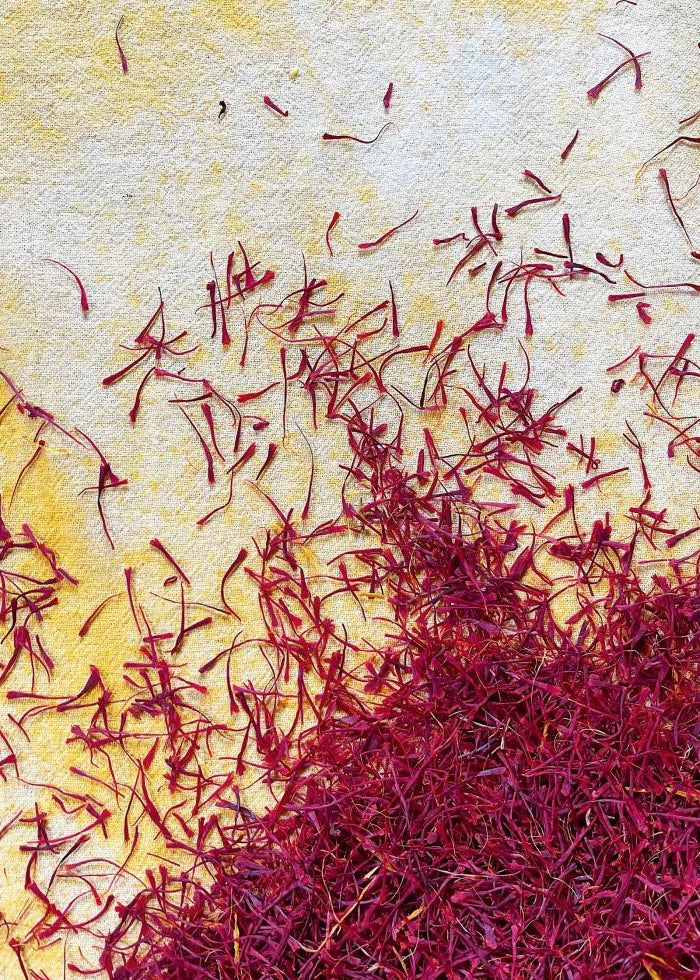 TCM Herbal Highlight: Saffron