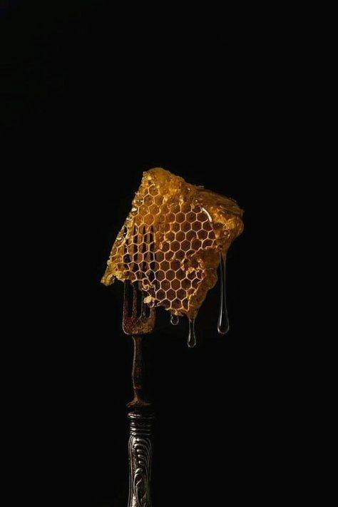 DIY: Tonic Herbal Electuaries - Root + Bones