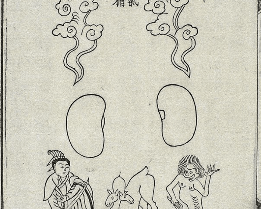 Flowing with Zhi, the Spirit of Winter - Root + Bones