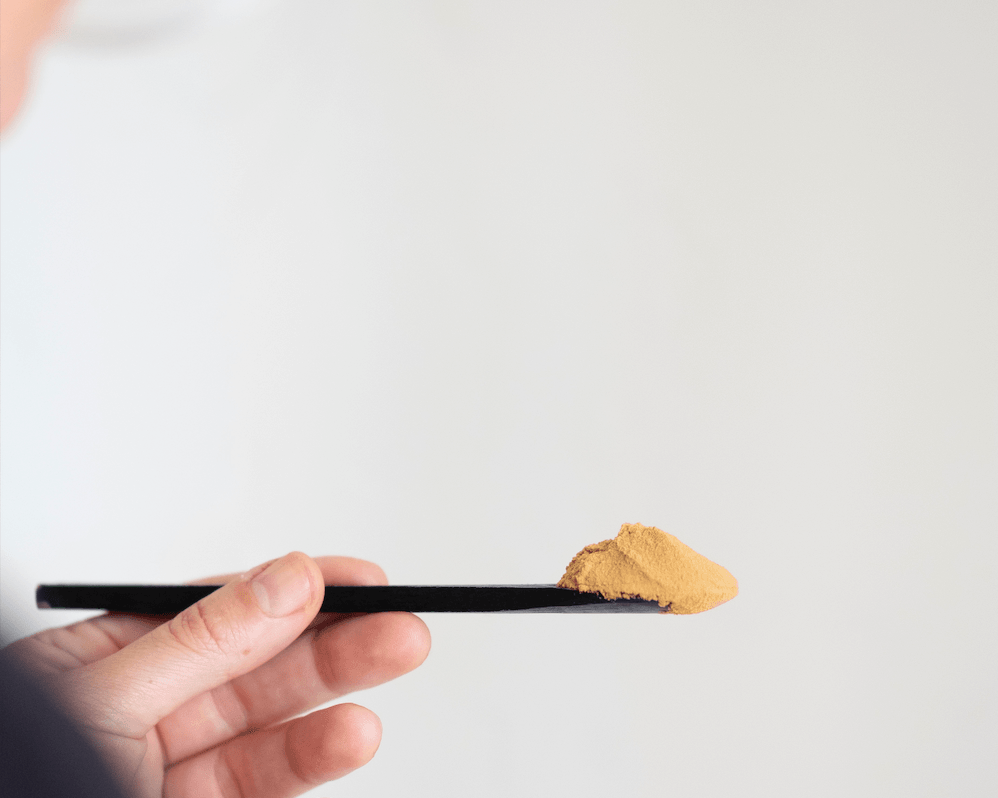 Maximize Your Medicine: Proper Care for Extract Powders - Root + Bones