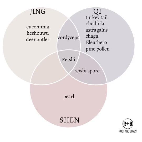 The Three Treasures: Jing, Qi and Shen - rootandbones