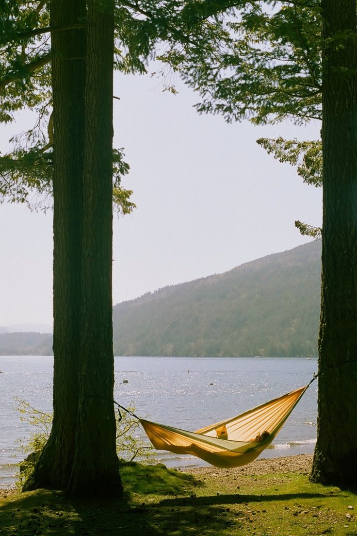 Cultivating Clarity in Late Summer