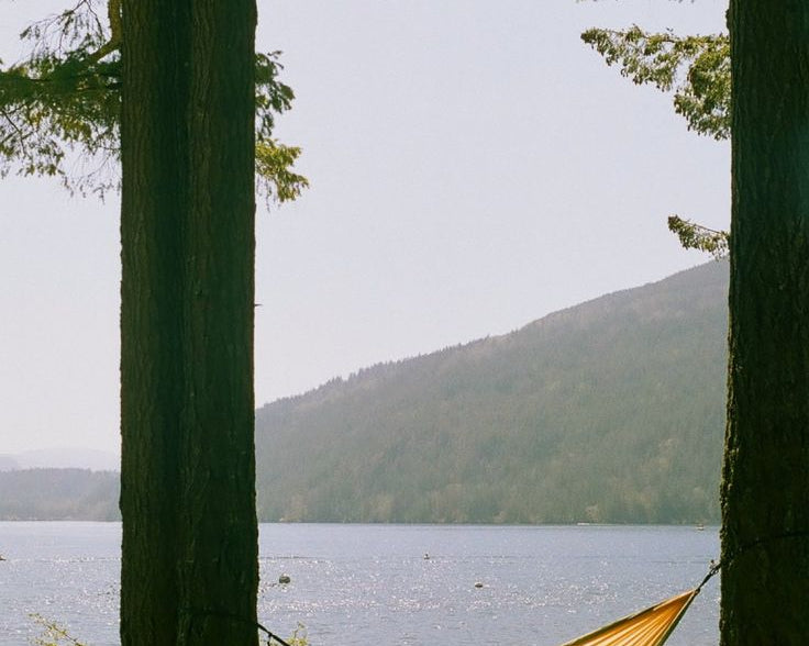 Cultivating Clarity in Late Summer