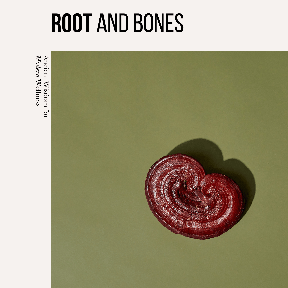 TCM: The Essentials v.I – Root + Bones